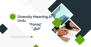 Diversity Meaning in Urdu